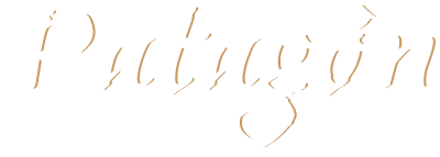 Patagon Logo